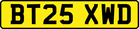 BT25XWD