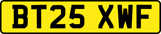 BT25XWF