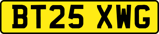 BT25XWG