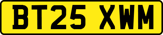 BT25XWM