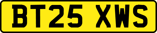 BT25XWS