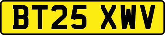 BT25XWV