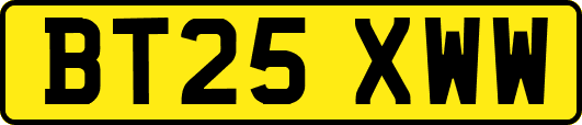 BT25XWW