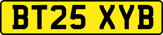 BT25XYB