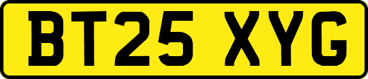 BT25XYG