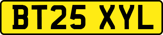 BT25XYL