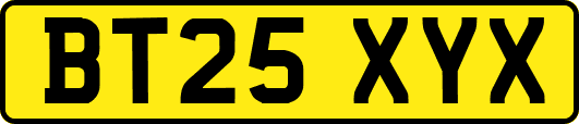 BT25XYX