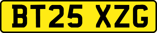BT25XZG