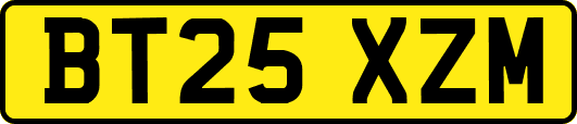 BT25XZM