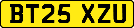 BT25XZU