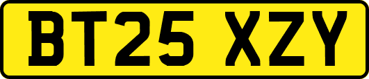 BT25XZY
