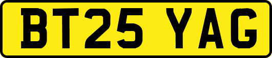 BT25YAG