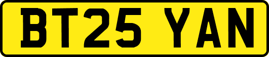BT25YAN