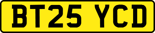 BT25YCD