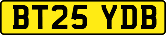 BT25YDB
