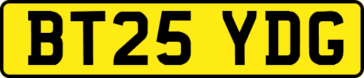 BT25YDG