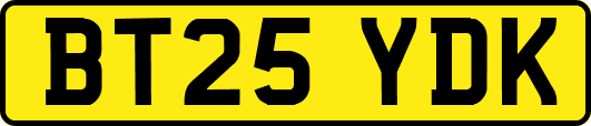 BT25YDK