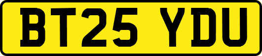 BT25YDU