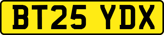 BT25YDX