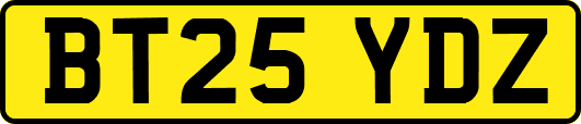 BT25YDZ