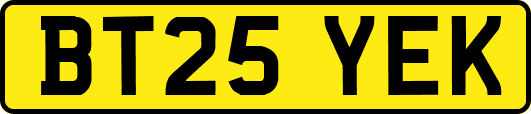 BT25YEK