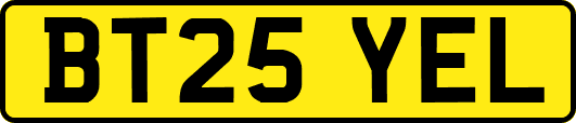 BT25YEL