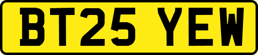 BT25YEW