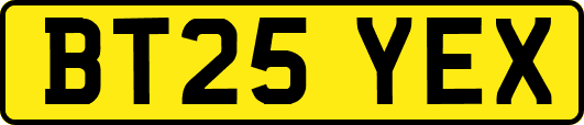 BT25YEX
