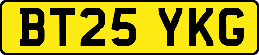 BT25YKG