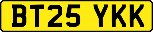 BT25YKK
