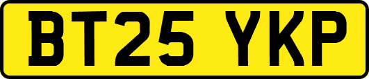 BT25YKP