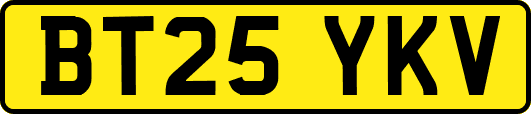BT25YKV