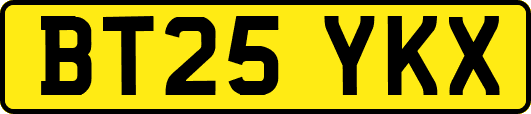BT25YKX
