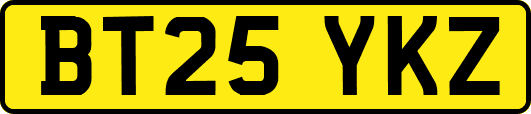 BT25YKZ