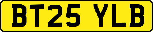 BT25YLB