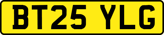 BT25YLG