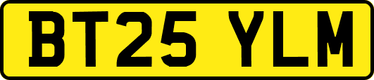 BT25YLM