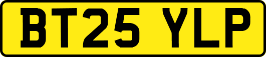 BT25YLP