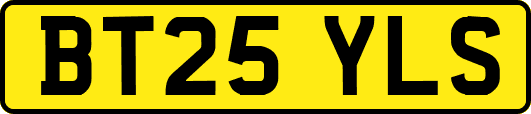 BT25YLS