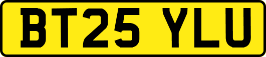 BT25YLU