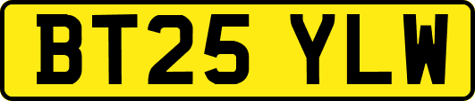 BT25YLW
