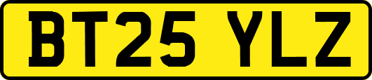 BT25YLZ