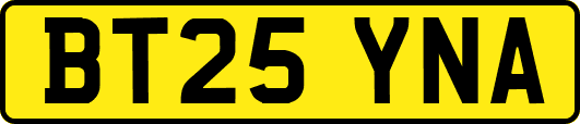 BT25YNA
