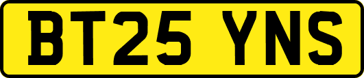 BT25YNS