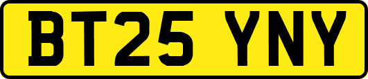 BT25YNY