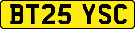 BT25YSC