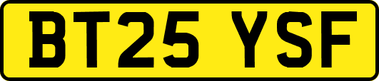BT25YSF