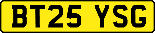 BT25YSG