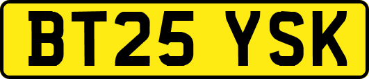 BT25YSK
