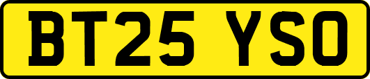 BT25YSO